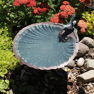 Scallop Shell Birdbath Birdbath