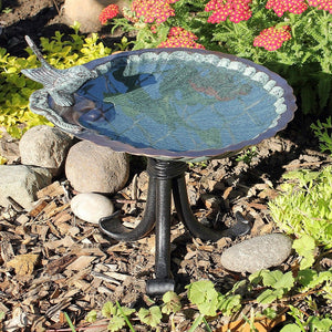 Scallop Shell Birdbath Birdbath