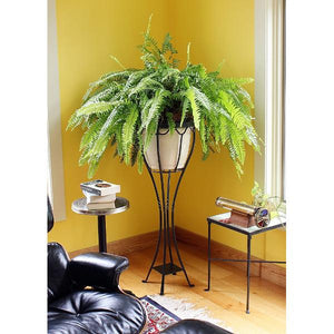 Verandah Plant Stand Plant Stand